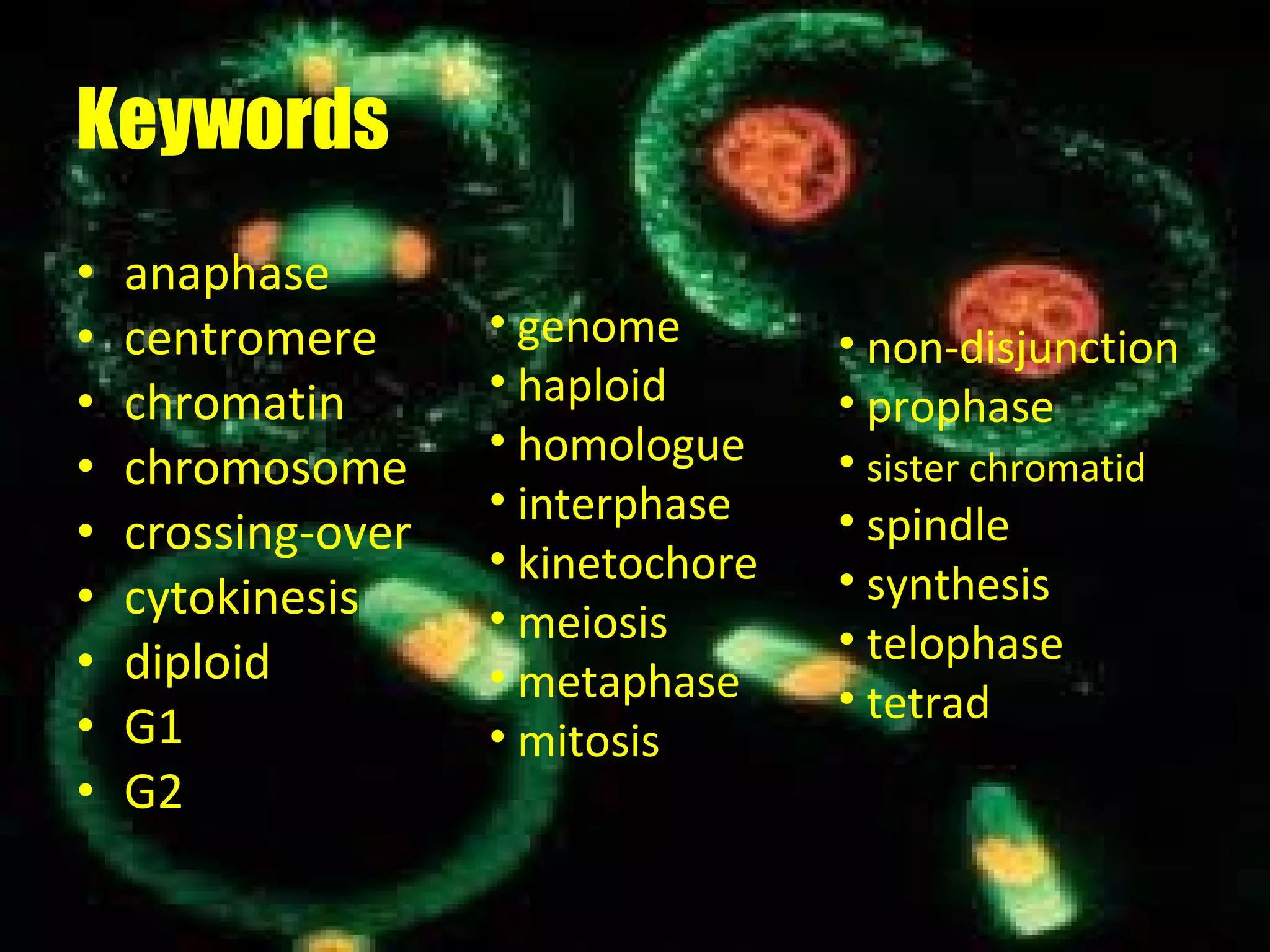 Keywords anaphase centromere chromatin chromosome crossing-over cytokinesis diploid G1 G2 genome haploid homologue interphase kinetochore meiosis metaphase mitosis non-disjunction prophase sister chromatid spindle synthesis telophase tetrad 