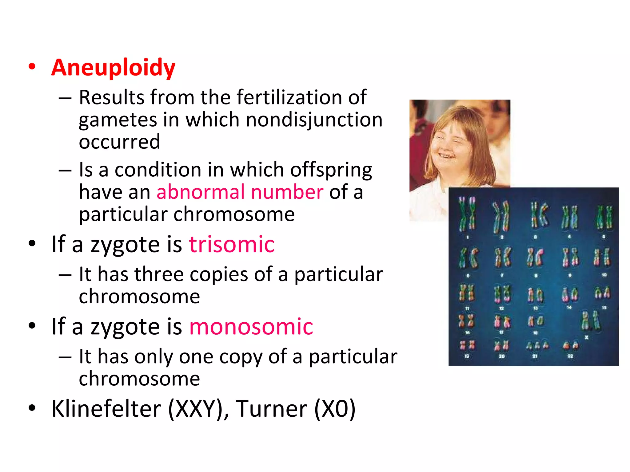 Aneuploidy Results from the fertilization of gametes in which nondisjunction occurred Is a condition in which offspring have an  abnormal number  of a particular chromosome If a zygote is  trisomic It has three copies of a particular chromosome If a zygote is  monosomic It has only one copy of a particular chromosome Klinefelter (XXY), Turner (X0) 
