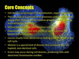 Presentation 01 - The Cell Cycle | PPT