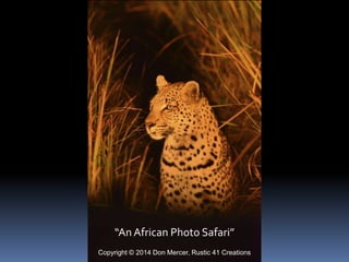 “An African Photo Safari”
Copyright © 2014 Don Mercer, Rustic 41 Creations

 
