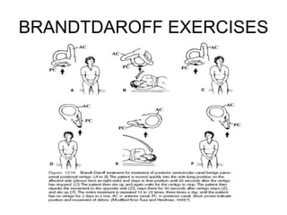 BRANDTDAROFF EXERCISES
 