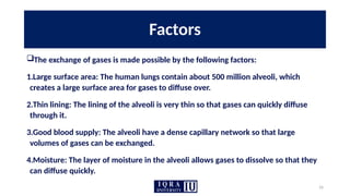 16
Factors
The exchange of gases is made possible by the following factors:
1.Large surface area: The human lungs contain about 500 million alveoli, which
creates a large surface area for gases to diffuse over.
2.Thin lining: The lining of the alveoli is very thin so that gases can quickly diffuse
through it.
3.Good blood supply: The alveoli have a dense capillary network so that large
volumes of gases can be exchanged.
4.Moisture: The layer of moisture in the alveoli allows gases to dissolve so that they
can diffuse quickly.
 