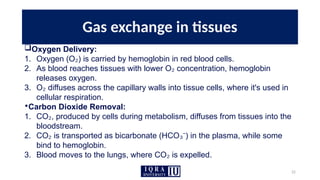 22
Gas exchange in tissues
Oxygen Delivery:
1. Oxygen (O ) is carried by hemoglobin in red blood cells.
₂
2. As blood reaches tissues with lower O concentration, hemoglobin
₂
releases oxygen.
3. O diffuses across the capillary walls into tissue cells, where it's used in
₂
cellular respiration.
•Carbon Dioxide Removal:
1. CO , produced by cells during metabolism, diffuses from tissues into the
₂
bloodstream.
2. CO is transported as bicarbonate (HCO ) in the plasma, while some
₂ ₃⁻
bind to hemoglobin.
3. Blood moves to the lungs, where CO is expelled.
₂
 