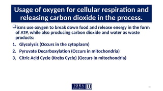 25
Usage of oxygen for cellular respiration and
releasing carbon dioxide in the process.
isms use oxygen to break down food and release energy in the form
of ATP, while also producing carbon dioxide and water as waste
products:
1. Glycolysis (Occurs in the cytoplasm)
2. Pyruvate Decarboxylation (Occurs in mitochondria)
3. Citric Acid Cycle (Krebs Cycle) (Occurs in mitochondria)
 
