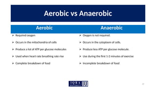 29
Aerobic vs Anaerobic
Aerobic Anaerobic
 Required oxygen  Oxygen is not required.
 Occurs in the mitochondria of cells  Occurs in the cytoplasm of cells.
 Produce a lot of ATP per glucose molecules  Produce less ATP per glucose molecule.
 Used when heart rate breathing rate rise  Use during the first 1-2 minutes of exercise
 Complete breakdown of food  Incomplete breakdown of food
 