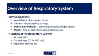 05/13/2025 3
Overview of Respiratory System
• Key Components:
• Nose/Mouth – Entry points for air.
• Trachea – Air passageway to lungs.
• Bronchi & Bronchioles – Branching airways leading to alveoli.
• Alveoli – Tiny air sacs where gas exchange occurs.
• Function of the Respiratory System:
• Air conduction
• Gas exchange (O2 in, CO2 out)
• Regulation of blood pH
 