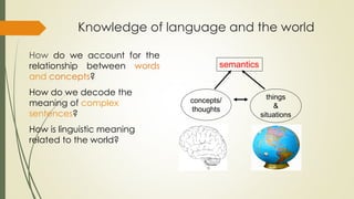 Knowledge of language and the world
semantics
concepts/
thoughts
things
&
situations
How do we account for the
relationship between words
and concepts?
How do we decode the
meaning of complex
sentences?
How is linguistic meaning
related to the world?
 