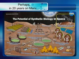 Perhaps,
in 20 years on Mars…
 