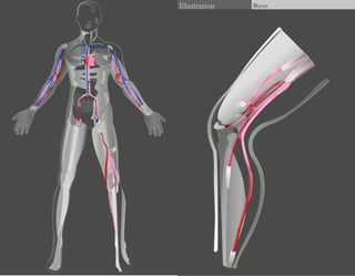 Illustration   Bayer
 