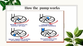 Pump Examples Science basic knowledge of pump | PPTX