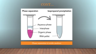 CONT…
Phase separation in acidic medium
 