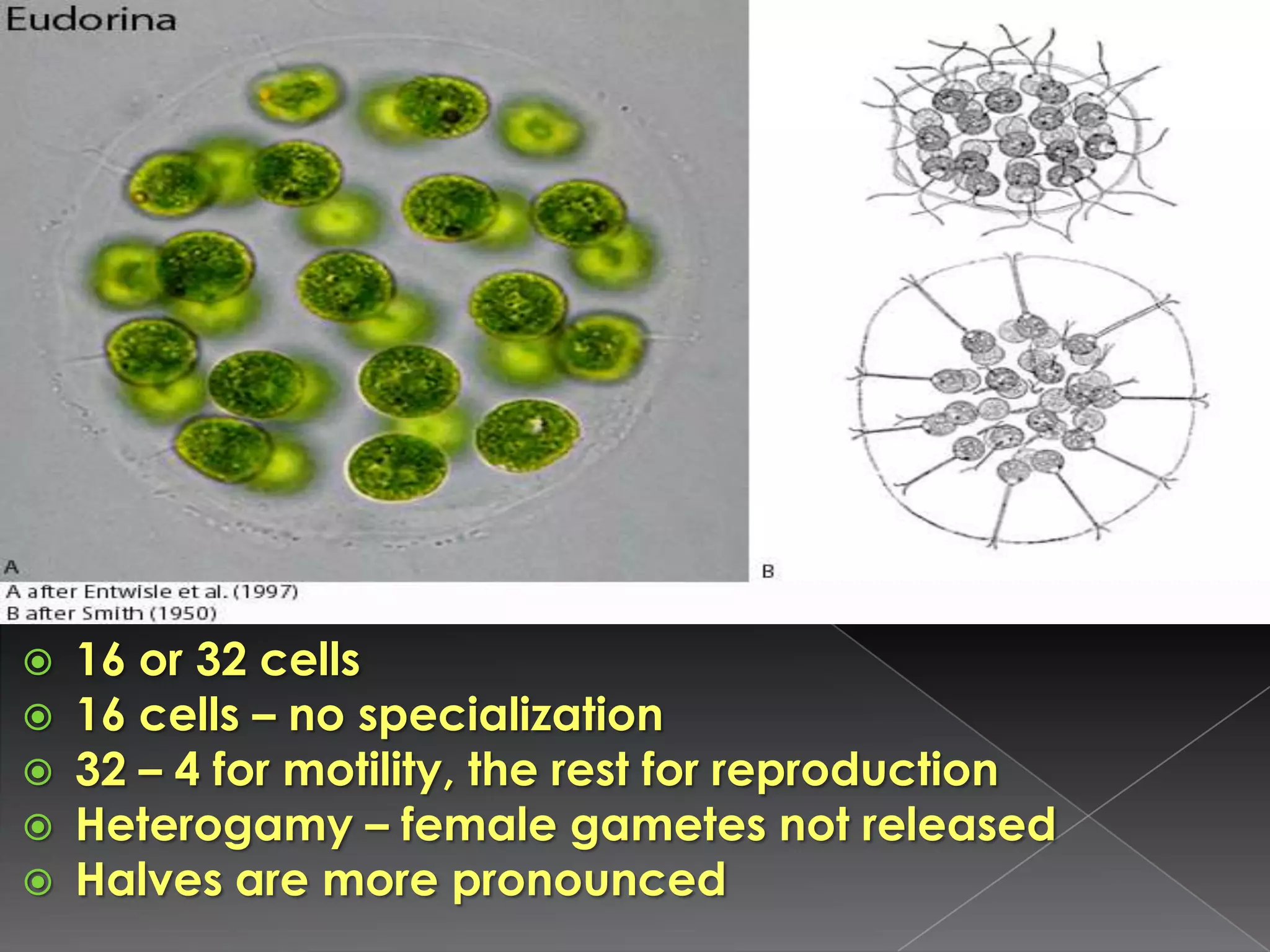 Improve efficiency to reduce demand
