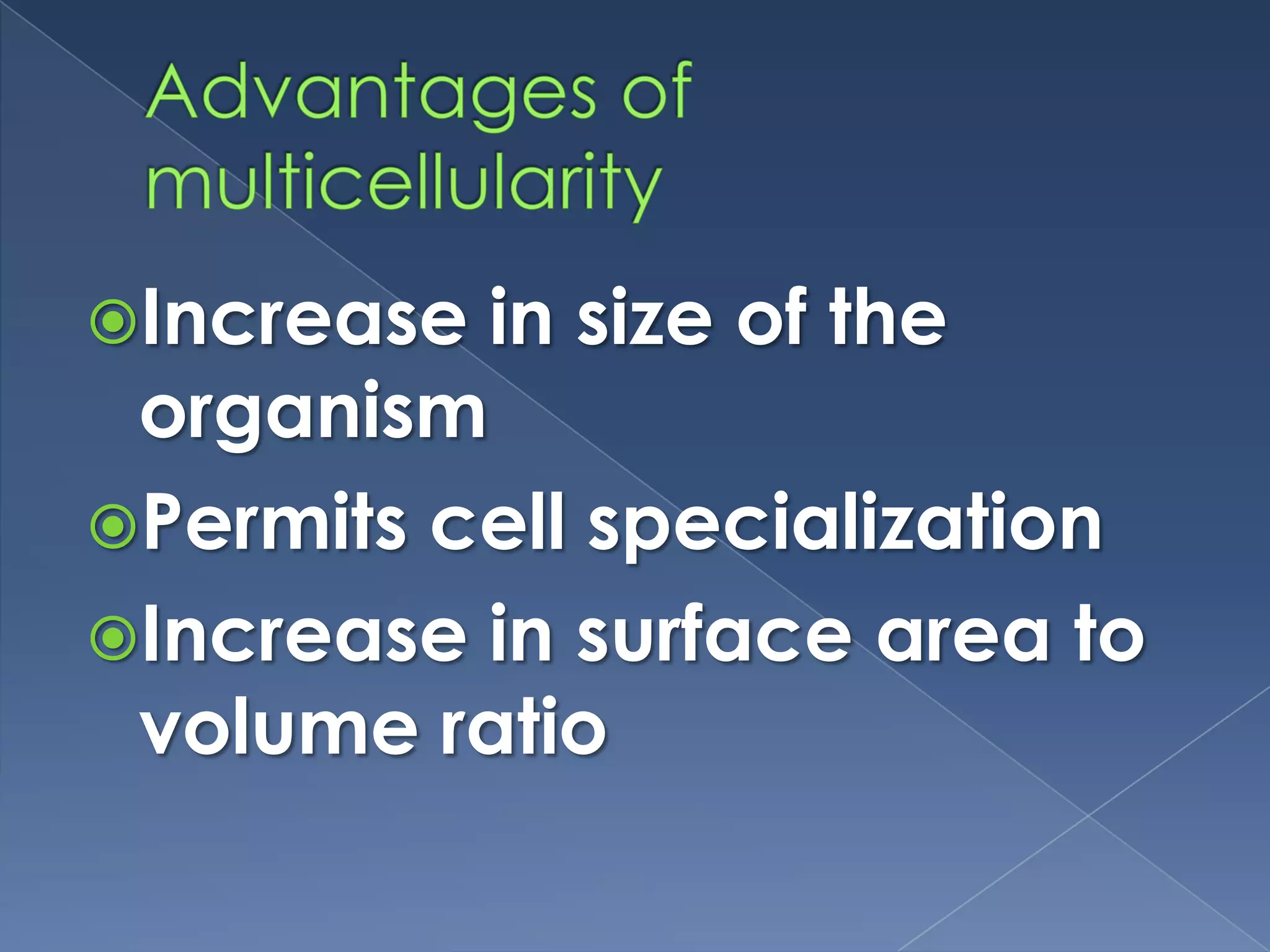 GoniumSmall colony (4, 8,16, or 32 cells)