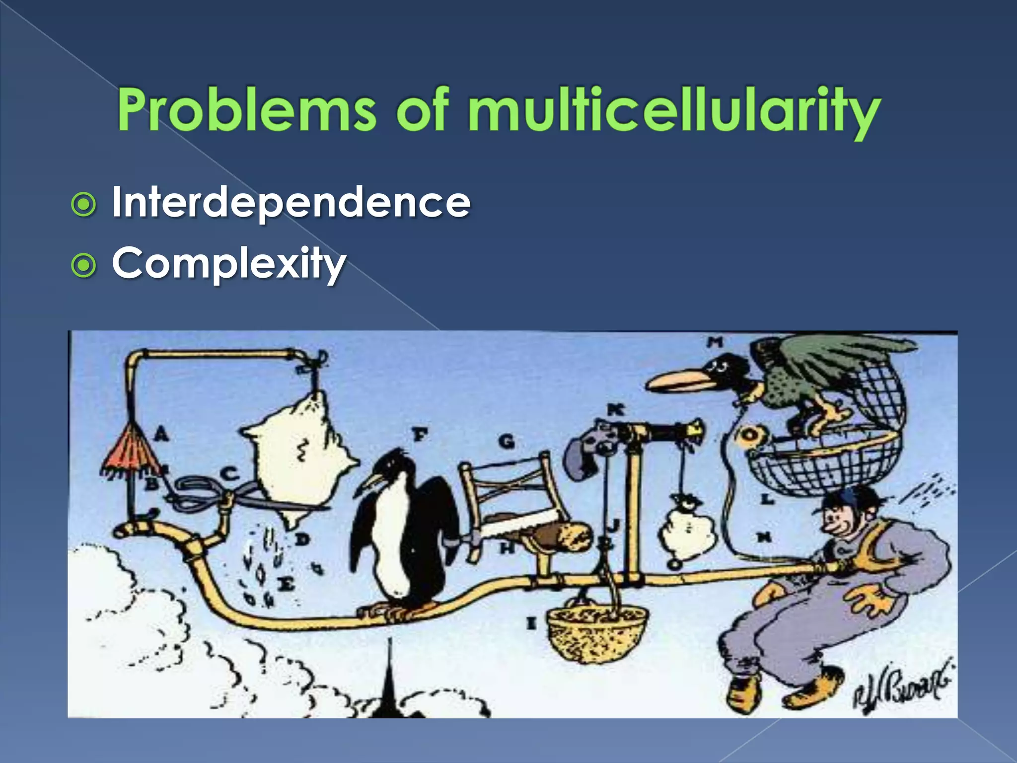 Flat plane, mucilage