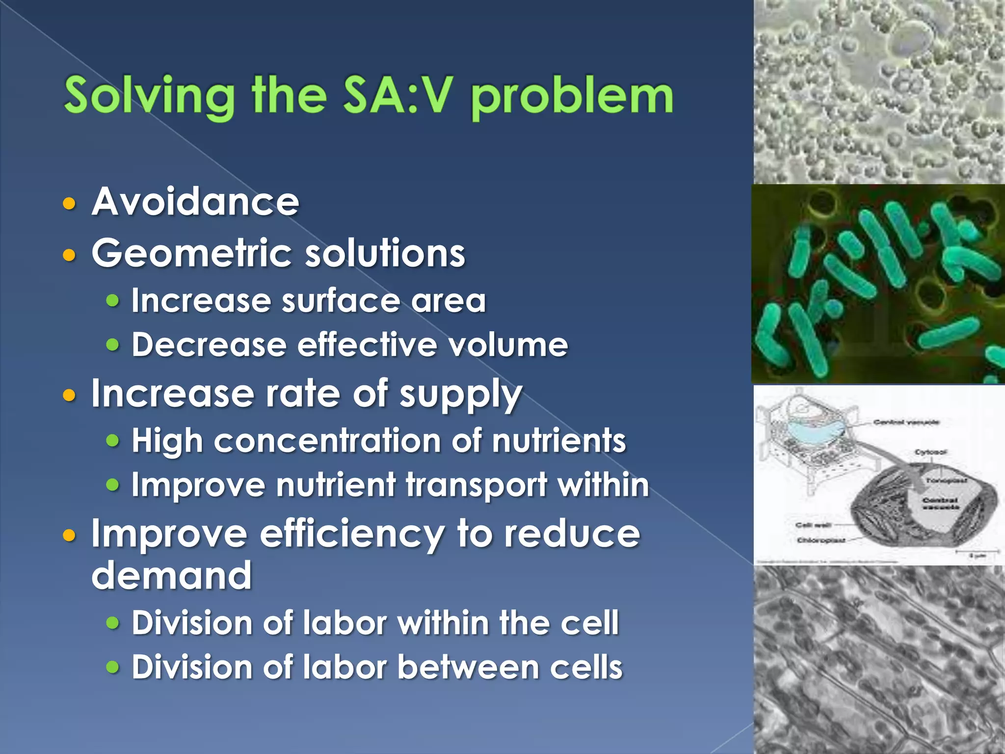 Solving the SA:V problemAvoidance