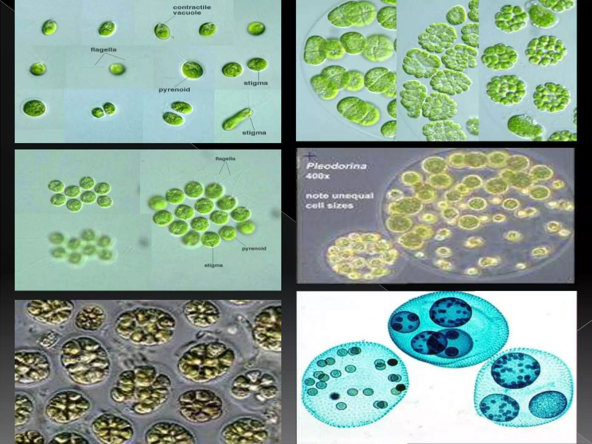 Increase surface area