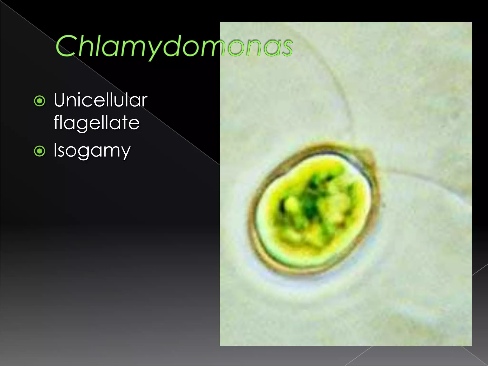 Decrease effective volume