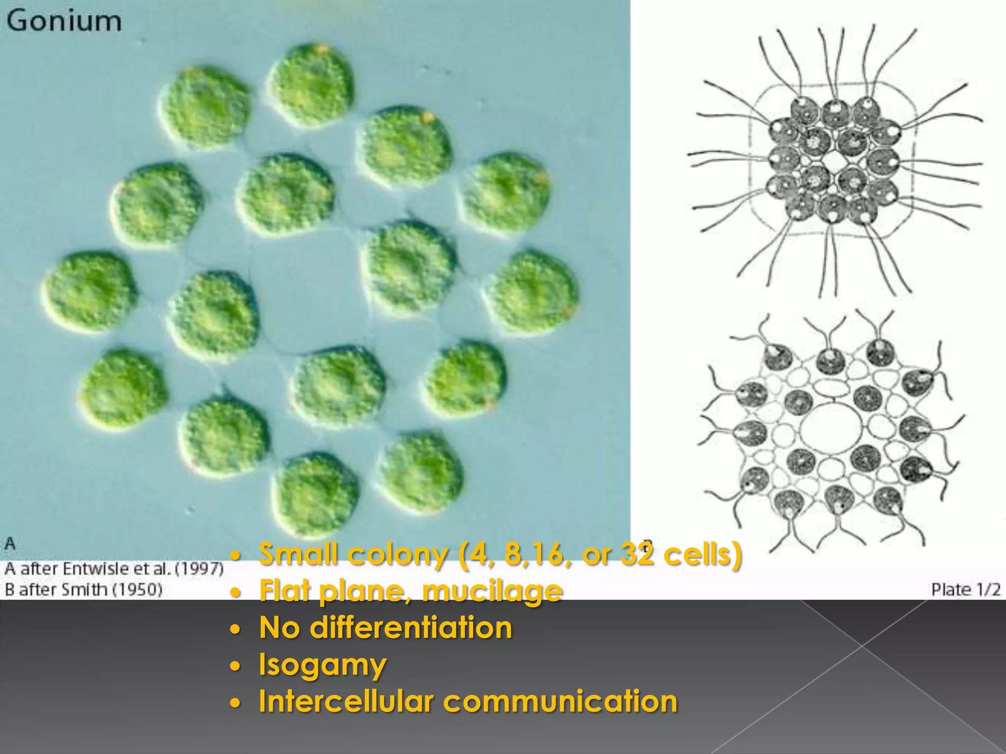 Increase rate of supply