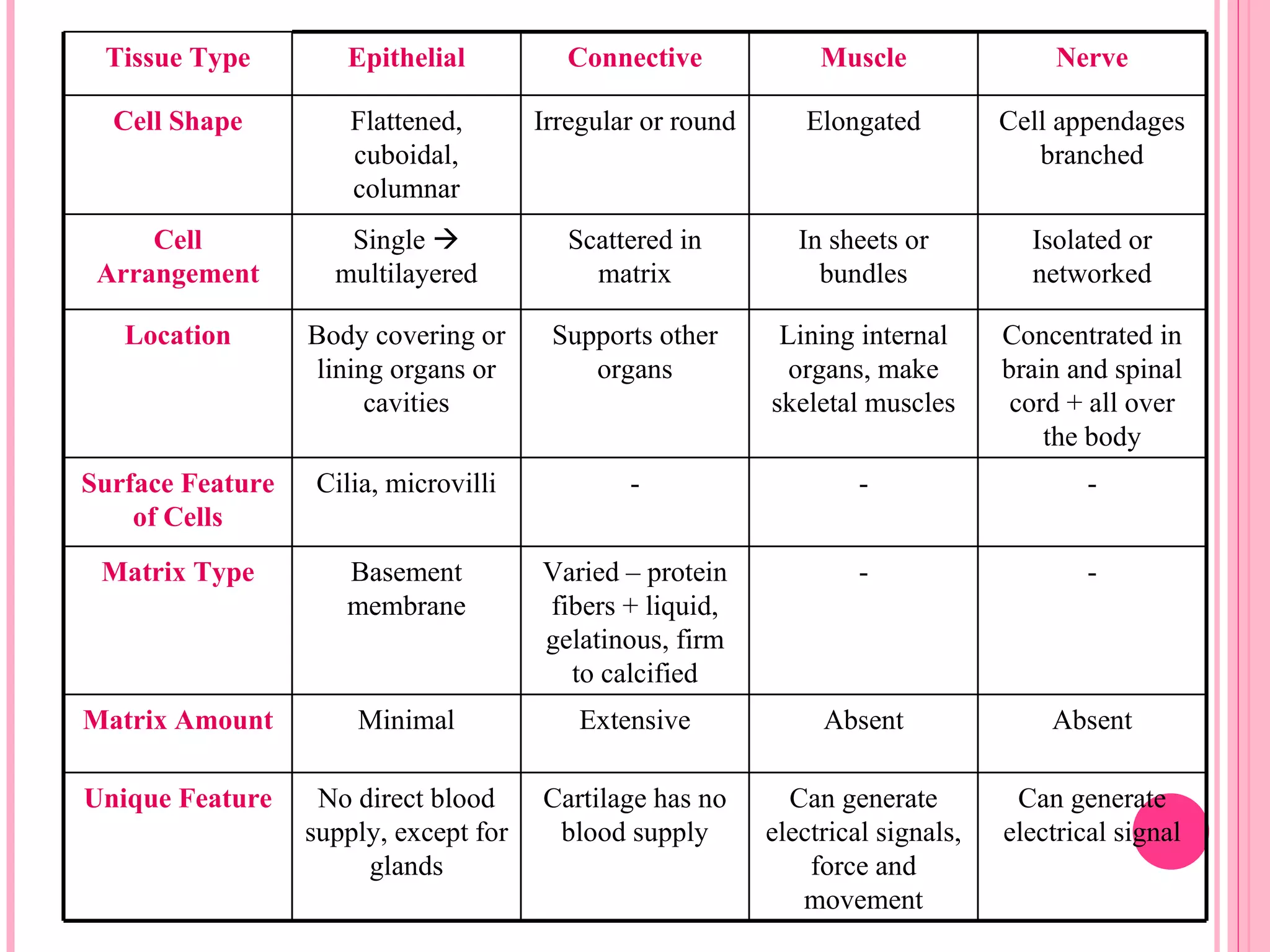 Tissue Type         Epithelial           Connective             Muscle                Nerve

  Cell Shape          Flattened,       Irregular or round      Elongated          Cell appendages
                      cuboidal,                                                      branched
                      columnar
     Cell            Single              Scattered in         In sheets or         Isolated or
 Arrangement        multilayered            matrix               bundles            networked

   Location       Body covering or      Supports other       Lining internal      Concentrated in
                  lining organs or         organs             organs, make        brain and spinal
                       cavities                             skeletal muscles       cord + all over
                                                                                      the body
Surface Feature    Cilia, microvilli           -                     -                    -
    of Cells
 Matrix Type         Basement          Varied – protein              -                    -
                     membrane          fibers + liquid,
                                       gelatinous, firm
                                         to calcified
Matrix Amount         Minimal              Extensive             Absent               Absent

Unique Feature     No direct blood     Cartilage has no       Can generate         Can generate
                  supply, except for    blood supply        electrical signals,   electrical signal
                       glands                                   force and
                                                               movement
 