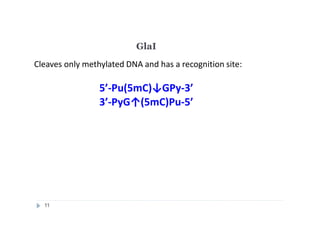 GlaI
Cleaves only methylated DNA and has a recognition site:
5’-Pu(5mC)↓GPy-3’
3’-PyG↑(5mC)Pu-5’
11
 