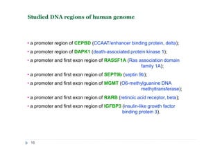 • a promoter region of CEPBD (CCAAT/enhancer binding protein, delta);
• a promoter region of DAPK1 (death-associated protein kinase 1);
• a promoter and first exon region of RASSF1A (Ras association domain
family 1A);
• a promoter and first exon region of SEPT9b (septin 9b);
• a promoter and first exon region of MGMT (O6-methylguanine DNA
methyltransferase);
• a promoter and first exon region of RARB (retinoic acid receptor, beta);
• a promoter and first exon region of IGFBP3 (insulin-like growth factor
binding protein 3).
Studied DNА regions of human genome
16
 