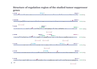 Structure of regulation region of the studied tumor suppressor
genes
SEPT9b (939 bp)
GCGCAGCGC GCGCCGCGCC GC GCCGCGC
d1
d2
d3r1
r2
r3
GCGCTGCGC
r3d1
d2 r1
RASSF1A (804 bp)
CEPBD (341 bp)
GC GCAGCGC
d1 r1
RARB (853 bp)
d1 r1r2
DAPK1 (357 bp)
GCGCCGCGC
d1 r1d2 r2
d1 r1d2
MGMT (678 bp)
r1
IGFBP3 (817 bp)
d1
GC GCTGCGT
17
 