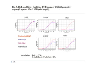 Fig. . BlsI- and GlaI- PCR assay of promoter
region (fragment d2-r2, 173 bp in length).
9 Real time DAPK1
U-937
JurkatL-68
HeLa
Raji
Pretreated DNA
With GlaI
With BlsI
With HaeIII
Methylation: Raji - >99%;
L-68, HeLa, U-937, Jurkat - <1%
25
 