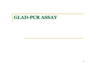 GLAD-PCR ASSAY
28
 