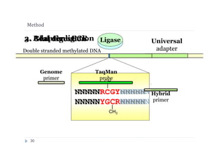 Method
NNNNNRC
NNNNNYG
CH3
GYNNNNN
CRNNNNN
CH3
Double stranded methylated DNA
Universal
adapter
GlaILigase
NNNNNN
NNNNNN
2. Adapter ligation3. Real-time PCR1. GlaI digestion
Genome
primer
TaqMan
probe
Hybrid
primer
30
 