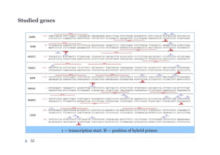 Studied genes
1 — transcription start. H — position of hybrid primer.
32
 
