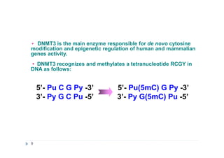 • DNMT3 is the main enzyme responsible for de novo cytosine
modification and epigenetic regulation of human and mammalian
genes activity.
• DNMT3 recognizes and methylates a tetranucleotide RCGY in
DNA as follows:
5’- Pu C G Py -3’ 5’- Pu(5mC) G Py -3’
3’- Py G C Pu -5’ 3’- Py G(5mC) Pu -5’
9
 