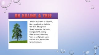 Presentation on killing a tree