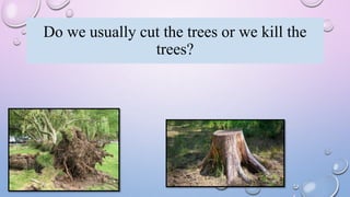 Do we usually cut the trees or we kill the
trees?
 