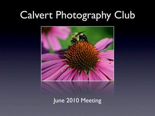 Calvert Photography Club




       June 2010 Meeting
 