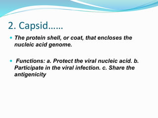 2. Capsid……
 The protein shell, or coat, that encloses the
nucleic acid genome.
 Functions: a. Protect the viral nucleic acid. b.
Participate in the viral infection. c. Share the
antigenicity
 