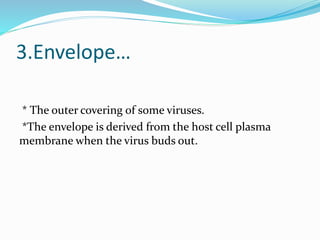 3.Envelope…
* The outer covering of some viruses.
*The envelope is derived from the host cell plasma
membrane when the virus buds out.
 