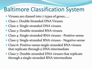 Baltimore Classification System
 Viruses are classed into 7 types of genes……
 Class 1: Double Stranded DNA Viruses
 Class 2: Single-stranded DNA viruses
 Class 3: Double-stranded RNA viruses
 Class 4: Single-stranded RNA viruses - Positive-sense
 Class 5: Single-stranded RNA viruses - Negative-sense
 Class 6: Positive-sense single-stranded RNA viruses
that replicate through a DNA intermediate
 Class 7: Double-stranded DNA viruses that replicate
through a single-stranded RNA intermediate
 