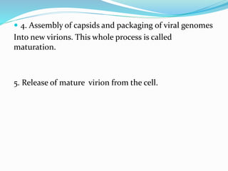  4. Assembly of capsids and packaging of viral genomes
Into new virions. This whole process is called
maturation.
5. Release of mature virion from the cell.
 