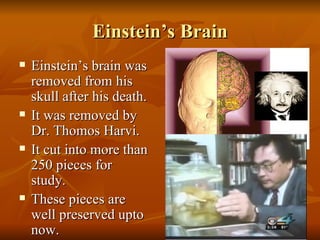Einstein’s Brain Einstein’s brain was removed from his skull after his death. It was removed by Dr. Thomos Harvi. It cut into more than 250 pieces for study. These pieces are well preserved upto now. 
