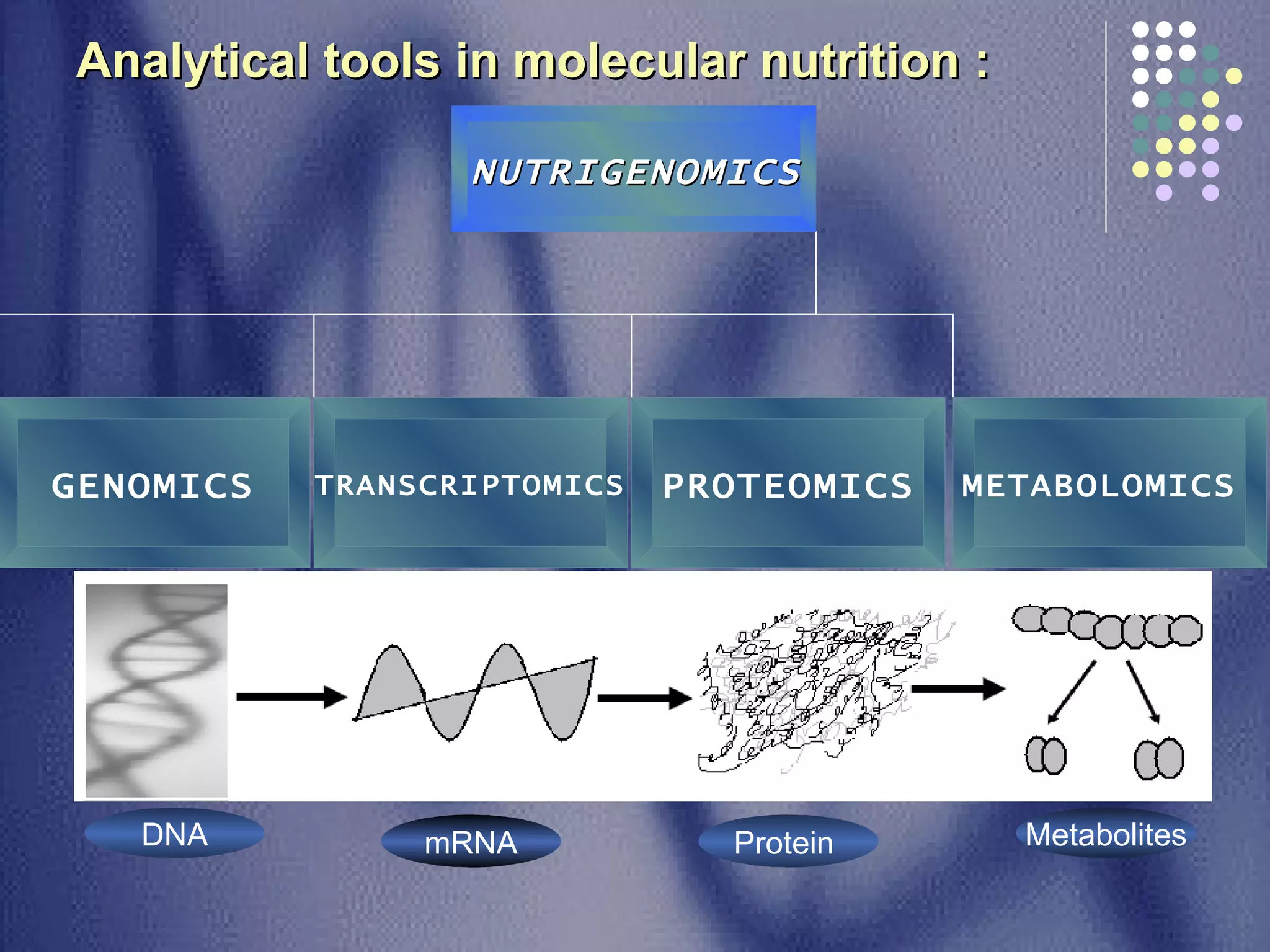 Analytical tools in molecular nutrition :   mRNA Protein  NUTRIGENOMICS   GENOMICS TRANSCRIPTOMICS PROTEOMICS METABOLOMICS   DNA Metabolites 