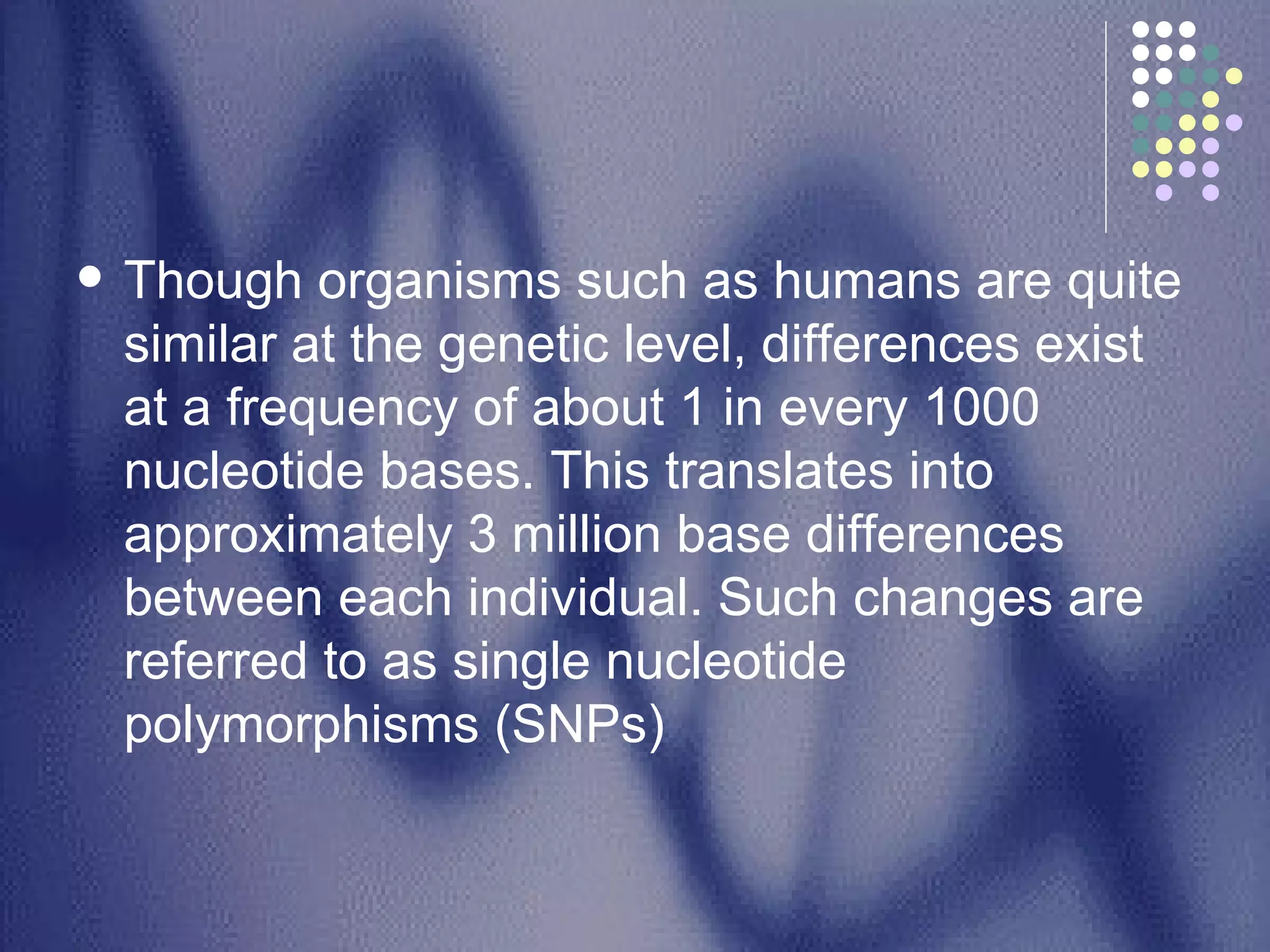 Though organisms such as humans are quite similar at the genetic level, differences exist at a frequency of about 1 in every 1000 nucleotide bases. This translates into approximately 3 million base differences between each individual. Such changes are referred to as single nucleotide polymorphisms (SNPs)  