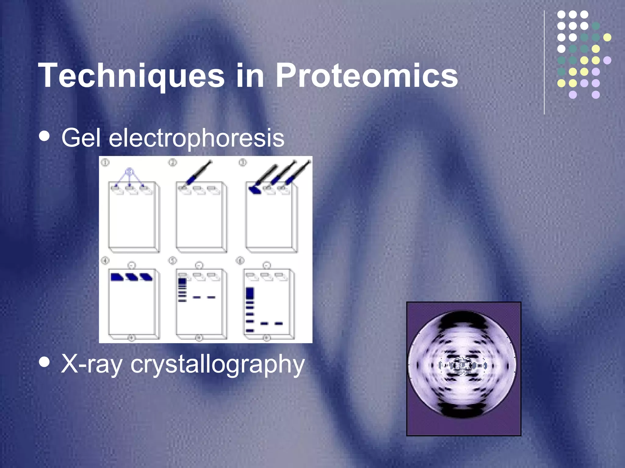 Techniques in Proteomics  Gel electrophoresis X-ray crystallography 