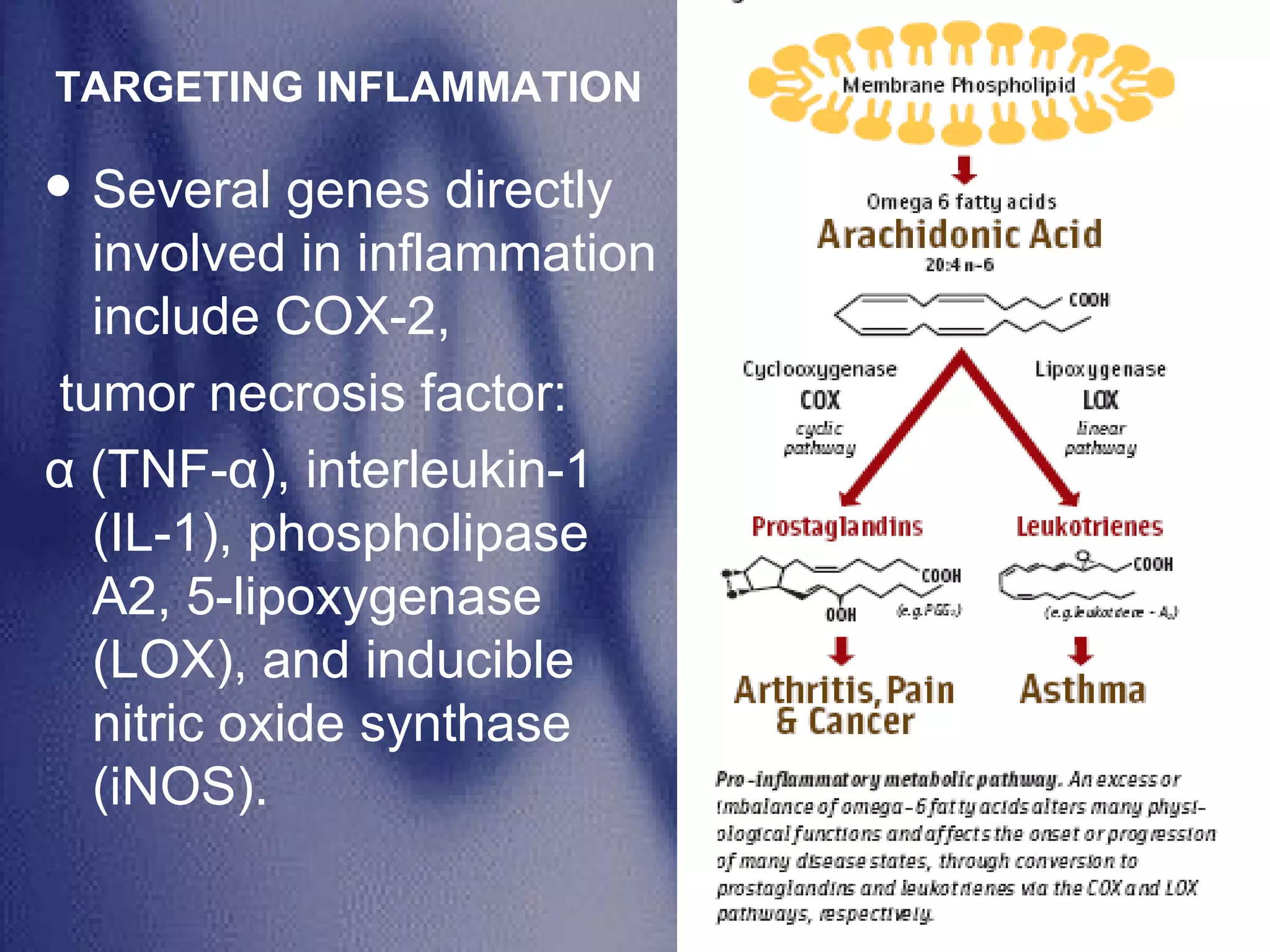 Several genes directly involved in inflammation include COX-2, tumor necrosis factor: α (TNF-α), interleukin-1 (IL-1), phospholipase A2, 5-lipoxygenase (LOX), and inducible nitric oxide synthase (iNOS).  TARGETING INFLAMMATION 
