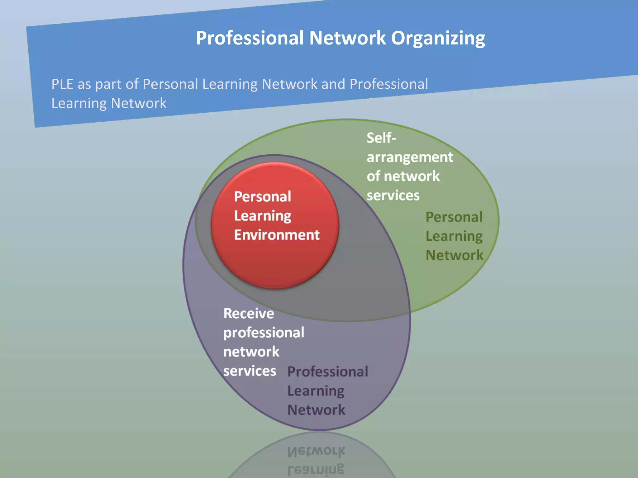 Professional Network Organizing PLE as part of Personal Learning Network and Professional Learning Network 