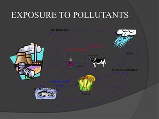 introduction to environment
