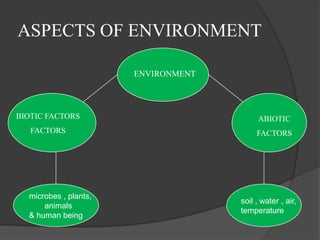 introduction to environment