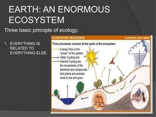 introduction to environment