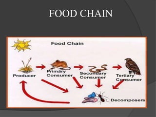 introduction to environment