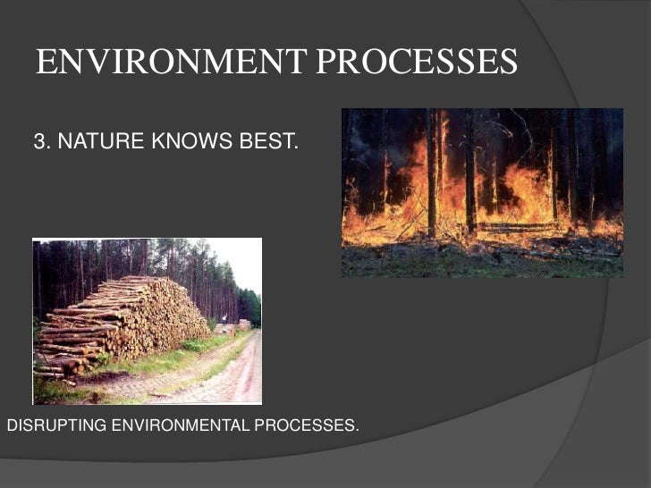 Nature Knows Best Principle Nature Knows Best Principle