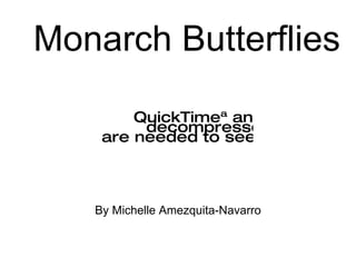 Monarch Butterflies

        QuickTimeª and a
         decompressor
    are needed to see this picture.



   By Michelle Amezquita-Navarro
 